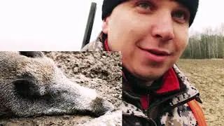 ОХОТА на Вепря . Закрытие Сезона.