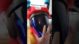 How I see in my protogen fursuit 
