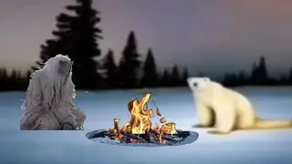 птица и белый медведь решили отдохнуть в лесу