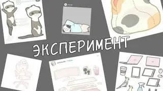 Проверка 