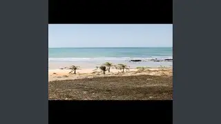 Garota Praiana