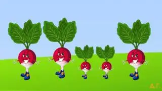 Видеопроект 