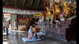 South Korean Buddhist monks mantras
