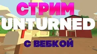 Стрим UNTURNED, PALADINS BRAWLHALLA С ВЕБКОЙ (  0+ без мата, ЛИЦО, ДРУЗЬЯ )