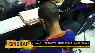 PART 2 - AWAS, PREDATOR MENGINTAI KAUM HAWA! | SINGKAP