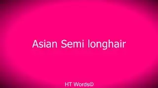Pronunciation of Asian Semi longhair