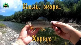 Июль, жара, хариус (часть 1)