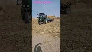 ШОЛӢ СИЗОН ХУРМОНДА