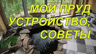 My pond, device, tips
