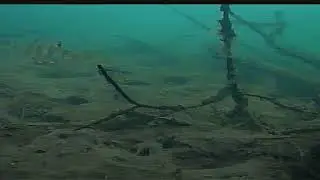 Камера EYOYO.