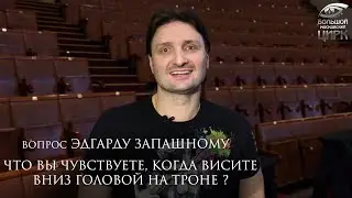Артисты Большого Московского цирка отвечают на вопросы подписчиков