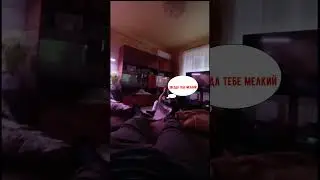 Лёша теперь плёшка #thundershow #warthundergameplay #вартандер #вартандер #смешныемоменты  #shorts