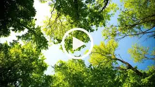 How Trees Influence Rain with Dr Uwe and Graham Ross
