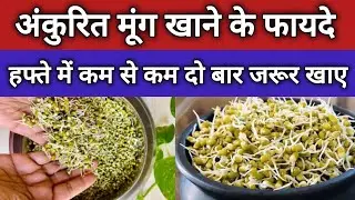 अंकुरित मूंग खाने के फायदे
