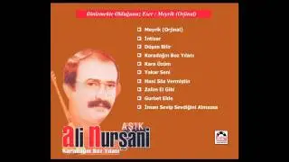 Ali nursani meyrik