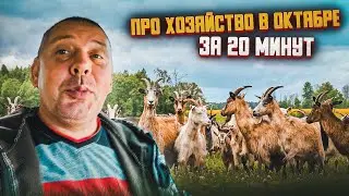 Обзор хозяйства в октябре. 