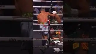 Дэвид Беневидес- мощный боксер, методично разбирающий своих соперников.