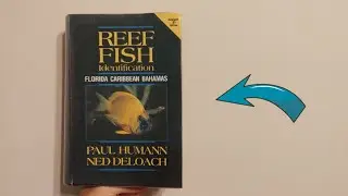 Reef Fish Identification - Florida Caribbean Bahamas | A Book Review
