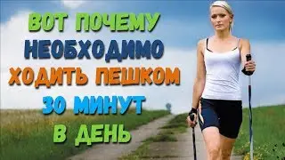 Что произойдет с телом если ходить пешком не менее 30 минут каждый день Изменения в организме