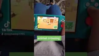 me playing animal crossing