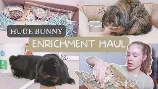 HUGE BUNNY ENRICHMENT HAUL 🐰💕