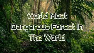world most dangerous forest || Sambisa and the Tragedy of a Forested Landscape ||biography of world