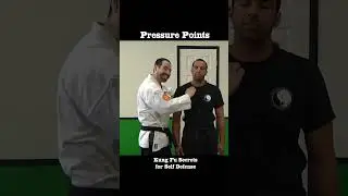 Kung Fu Techniques Pressure Points in Chinese Martial Arts
