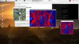 weed (cardilla) robot control/ OAK-D and OpenCV