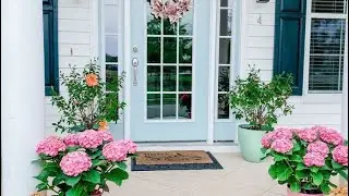 Вхідна зона. 🏘🪴🎍🌷