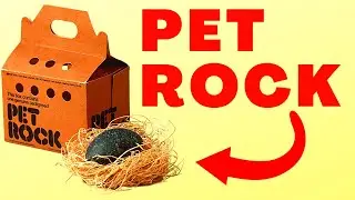 5 ridiculously WEIRD business ideas that made people Millionaires!