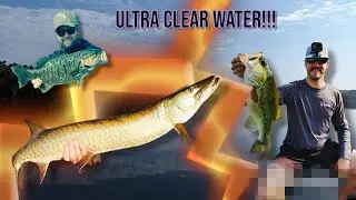 ULTRA CLEAR WATER BASS Fishing!!!