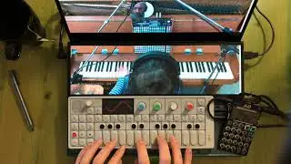 Jamuary 2020 - day 5 jam with Cuckoo (OP-1 and po35 speak)