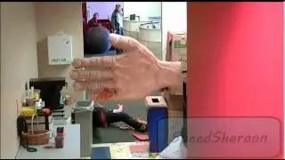 Jackass - Johnny Knoxville- The High Five (Español)