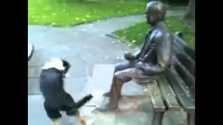 Собака и памятник  Прикольно!