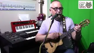 The Diary of Horace Wimp - ukulele cover