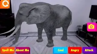 4D Animals - African Wildlife