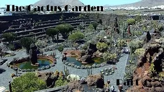 Ibirdball's Holiday 2019 - The Cactus Garden - Part 4