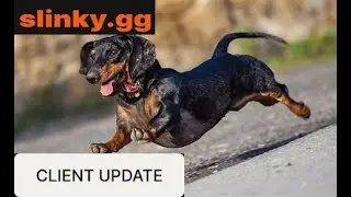 slinky update (blink autoblock, new criticals, better fastplace, bug fixes)