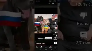 КАМАЗ Димас