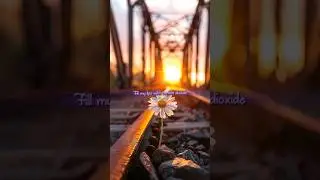 Co2 - Prateek Kuhad Nothing says "I love you" like your eyes Fill my lips #co2 #prateekkuhad #lyrics