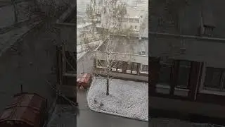 Cнегопад в апреле в Санкт Петербурге 29/04/2022