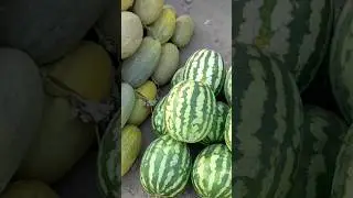 бизниг сезон энди келди
