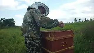 УАЗ против уток - тест кто больше съест.