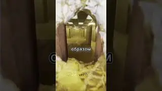 Что будет если опасные сущности попадут на уровень веселья?
