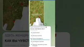 https://t.me/net_nikogo_vagnee