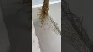 Как создается цветочный барельеф? Часть 2