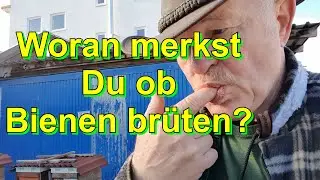 Woran merkst Du ob Bienen brüten?