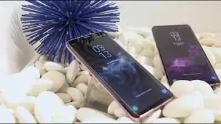 samsung Galaxy S9 vs  Galaxy S9+ Which Phone Should You Buy?