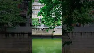 大都会のオアシス　こんなワンシーンに音楽をつけるとしたら、どんな音楽だろう。　   #音楽のある生活#美しい世界#音楽家#DailyLife#Beautifulscenary