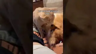 don’t do it EARL…